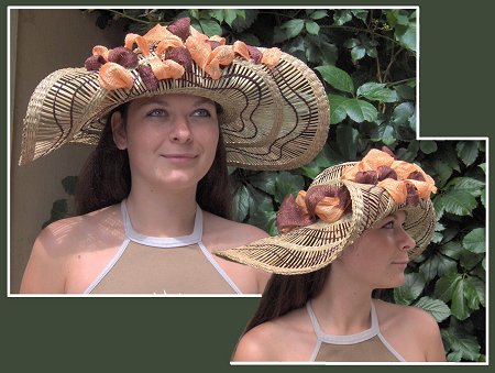 Fotografie